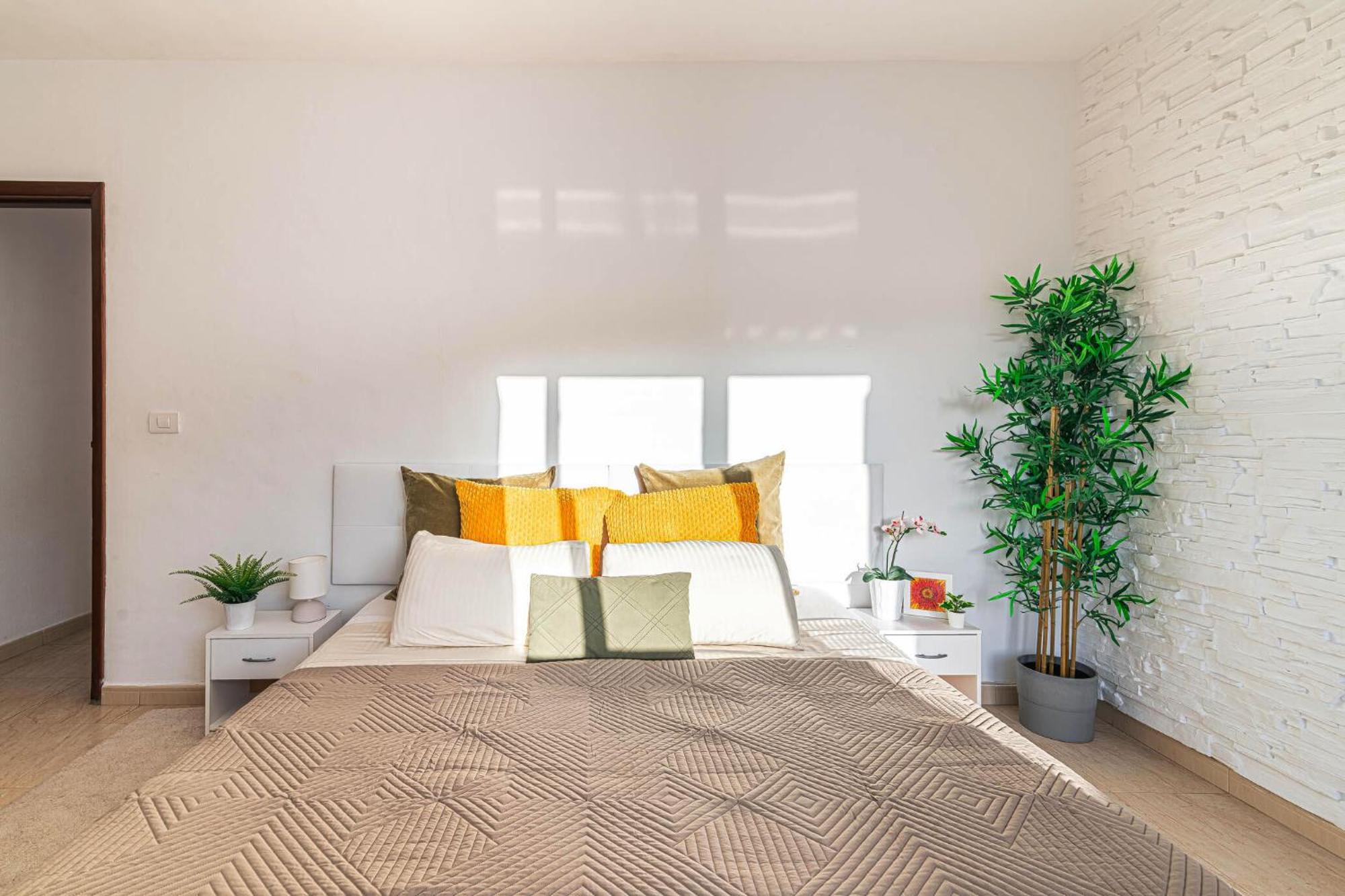 Tenerife Te Espera! Apartment Icod De Los Vinos Ngoại thất bức ảnh