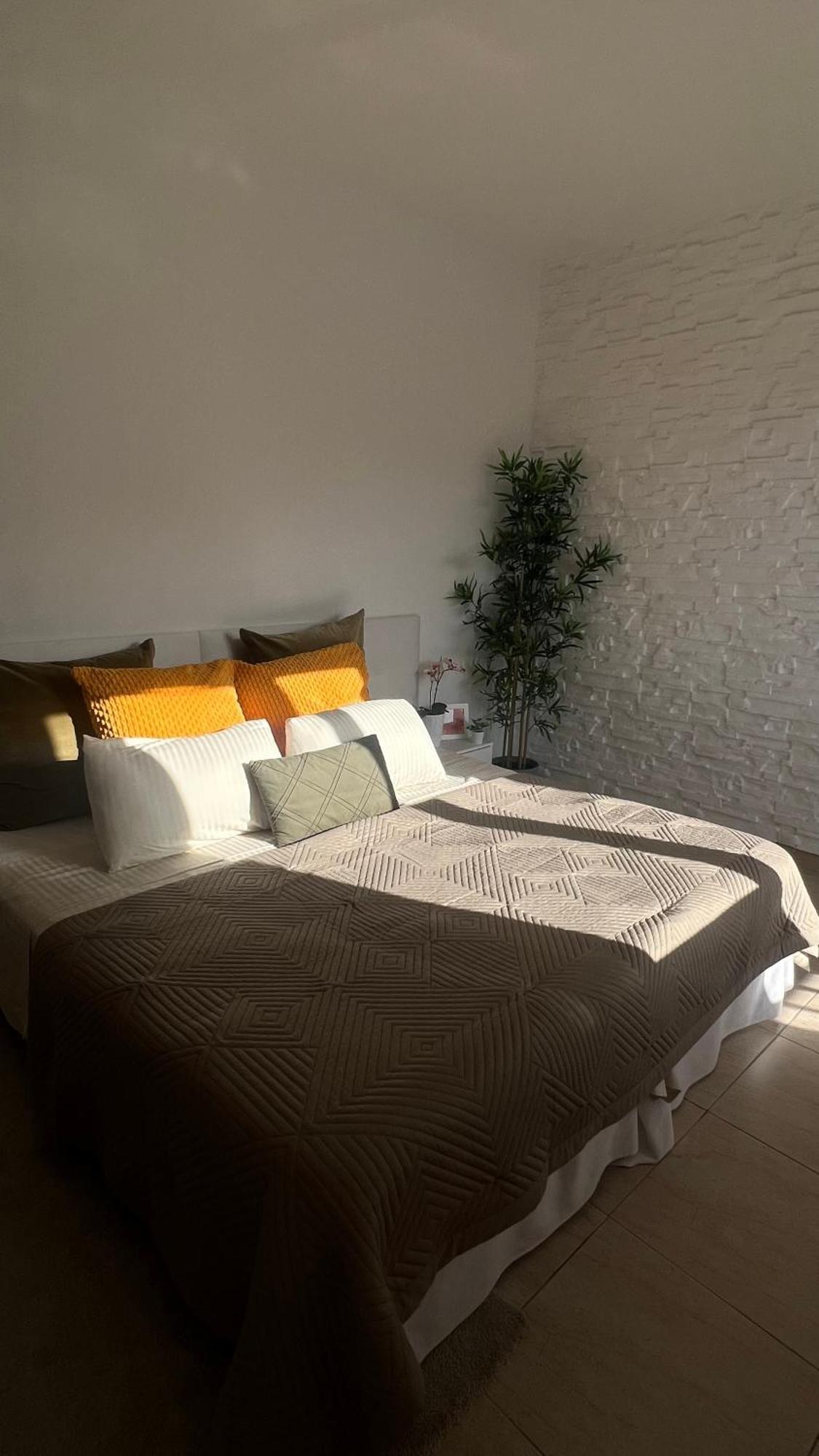 Tenerife Te Espera! Apartment Icod De Los Vinos Ngoại thất bức ảnh