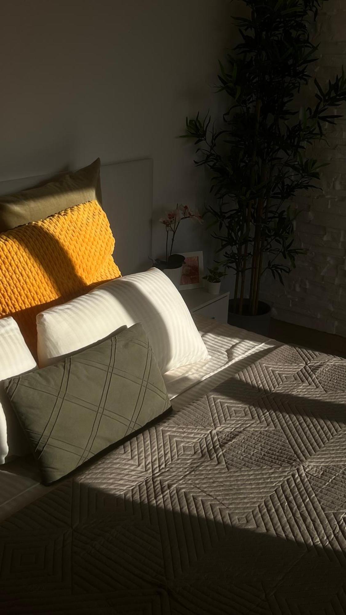 Tenerife Te Espera! Apartment Icod De Los Vinos Ngoại thất bức ảnh